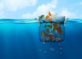 Θαλασσινό νερό και δέρμα