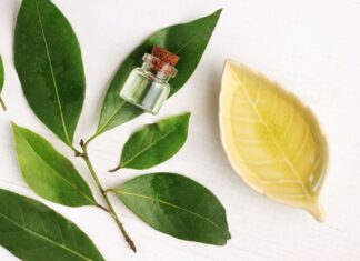 Δαφνέλαιο: Η φυσική λύση για πλούσια και υγιή μαλλιά