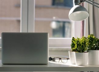 Τα φυτά στο σπίτι βελτιώνουν την ψυχολογία των ανθρώπων στο lockdown