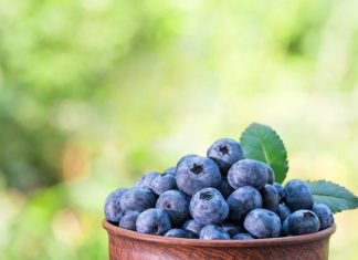 Μύρτιλα: 4 εκπληκτικά οφέλη για το δέρμα σας