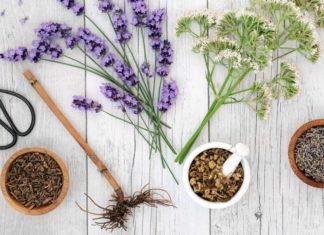 Τρία βότανα για να καταπολεμήσετε το στρες και ανέβει η διάθεσή σας