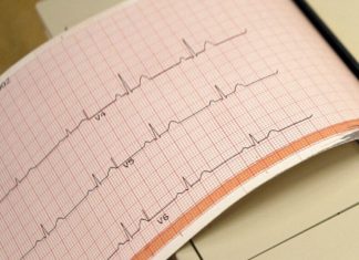 Οι ανθρώπινες καρδιές συγχρονίζονται όταν ακούν προσεκτικά ιστορίες