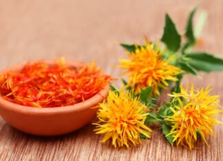 Αδυνάτισμα: κάποια φυτά μπορούν να βοηθήσουν