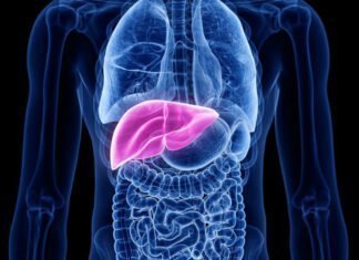 14 τρόφιμα για να διατηρήσετε το συκώτι σας υγιές