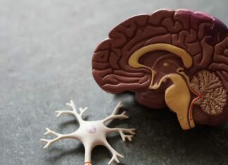 Άνοια: Το πρώιμο σύμπτωμα που οι περισσότεροι αγνοούν