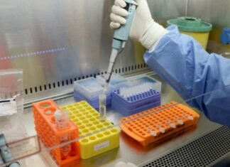 Γενετικά τροποποιημένος ιός του έρπητα δίνει ελπίδες πως μπορεί να εξαλείφει καρκινικούς όγκους