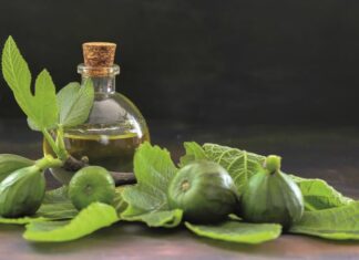 Σύκο – Η υπερδύναμη της ομορφιάς