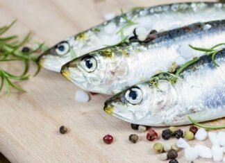 Ρέγγες, σαρδέλες και σκουμπριά μπορούν να μας σώσουν από τη “σιωπηλή νόσο”