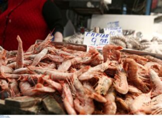 Καθαρά Δευτέρα 2023: Οδηγίες για τα κακής ποιότητας τρόφιμα της Σαρακοστής