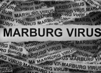 Ανακοίνωση Υπουργείου Υγείας για τον ιό Marburg