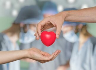 Θέματα μεταμοσχεύσεων θα συζητήσουν στην Αθήνα Κανάρη και Χρυσοχοΐδης
