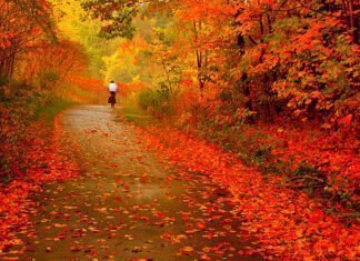 Φθινόπωρο σημαίνει έναρξη των συγκεντρώσεων στο σπίτι