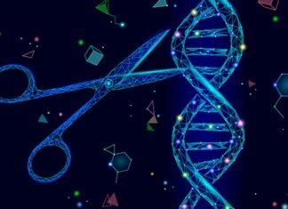 Επιστήμονες αφαίρεσαν τον ιό του HIV από μολυσμένα κύτταρα