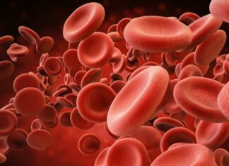 Δρ. Παπαγρηγορίου: Εξατομικευμένες θεραπείες για Κύπριους θα φέρει το Cyprome