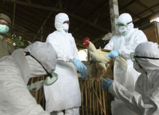 ΗΠΑ: Επιβεβαιώθηκαν 4 νέα κρούσματα της γρίπης των πτηνών σε ανθρώπους