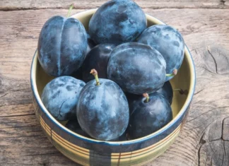 Οι βυσσινί βανίλιες αποτελούν μια εξαιρετική επιλογή για την καλοκαιρινή διατροφή.