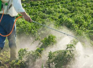 ∆εν µπορούν να γίνονται δεκτά υπολείµµατα φυτοφαρµάκων σε εισαγόµενα τρόφιµα