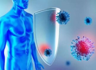 Ανοσοποιητικό Σύστημα: Ποιες είναι οι πιο αποτελεσματικές στρατηγικές για την ενίσχυση του το χειμώνα