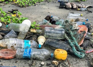 Ανησυχητικά ευρήματα για τα μικροπλαστικά στον Ανθρώπινο Εγκέφαλο