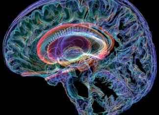 Ερευνητική πρωτοβουλία και όχι αποτελέσματα για τα αίτια του αυτισμού