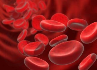 Ολιστική προσέγγιση για αντιμετώπιση της θαλασσαιμίας ζητά η ΔΟΘ