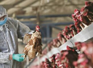 Περιστατικά γρίπης πτηνών ανακοίνωσε η Λετονία