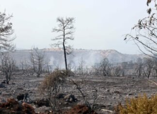 Πνευμονολόγος συστήνει μάσκα ψηλής προστασίας FFP2 για όσους κινούνται στα καμένα εδάφη