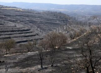 Δύο κέντρα ψυχολογικής στήριξης από σήμερα στις πυρόπληκτες περιοχές