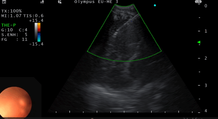 CF83CEBACEBFCF81CEB4CEB7 1 1024x560 zVqS29