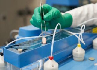 Εθελοντική ανάκληση αντιβιοτικών Clarem και Ermyced από τη Remedica – Ποιες παρτίδες επηρεάζονται