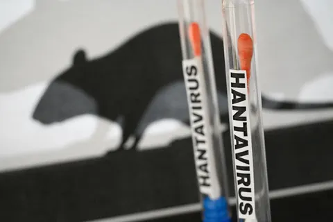 Συντονισμός για χανταϊό από Κομισιόν, ο κίνδυνος παραμένει πολύ χαμηλός λέει το ECDC