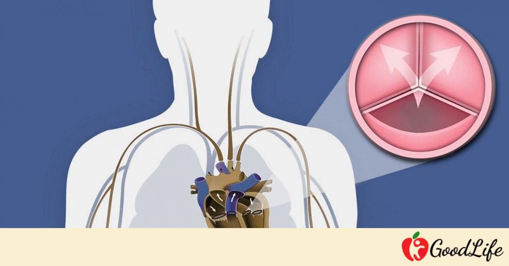 Τα μυστικά της αορτικής βαλβίδας